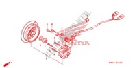 ALTERNATEUR pour Honda CRF 250 X de 2012