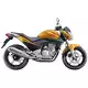 300 CB 2009 CB300RA