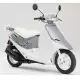 50 DIO 1988 SK50MJ