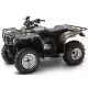 250 FOURTRAX 2004 TRX250TE4