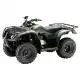 250 FOURTRAX 2013 TRX250TED