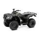 250 FOURTRAX 2024 TRX250TM1R