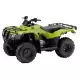 250 FOURTRAX 2024 TRX250TM1R