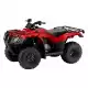 250 FOURTRAX 2024 TRX250TM1R