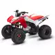250 FOURTRAX 2024 TRX250X1R