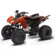 250 FOURTRAX 2024 TRX250X1R