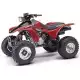 300 FOURTRAX 2004 TRX300EX4