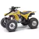 300 FOURTRAX 2004 TRX300EX4