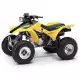 300 FOURTRAX 2005 TRX300EX5