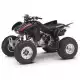 300 FOURTRAX 2007 TRX300EX7