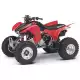 300 FOURTRAX 2007 TRX300EX7