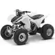 300 FOURTRAX 2008 TRX300EX8