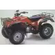 300 FOURTRAX 1998 TRX300W