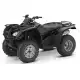 420 FOURTRAX 2008 TRX420FM8