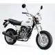 100 APE 2006 XZ1006