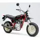 100 APE 2006 XZ1006_2J