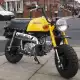 50 GORILLA 2004 Z50J4_G