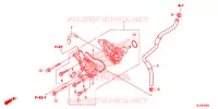 POMPE A EAU pour Honda PIONEER 700 M4 RED de 2018