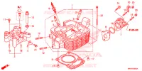 CULASSE pour Honda XR 150 de 2017