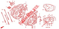 CARTER MOTEUR pour Honda SPORTRAX 300 EX standard de 2001