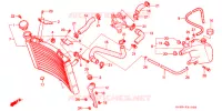 RADIATEUR pour Honda NSR 250 SE WHITE RIMS de 1995