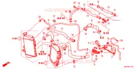 FLEXIBLE DE RADIATEUR/TUYAU D'EAU pour Honda AFRICA TWIN CRF 1000 de 2019