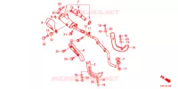 SILENCIEUX D'ECHAPPEMENT pour Honda CRF 110 de 2021