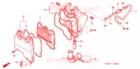 FILTRE A AIR (1) pour Honda WAVE 125 S, Spoked Wheels de 2007