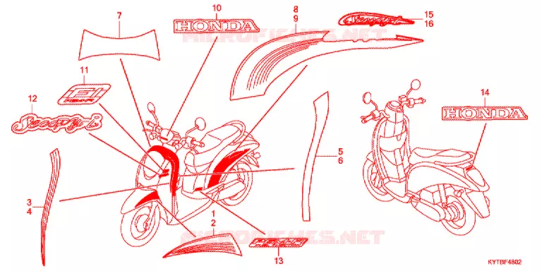 t (3) Honda SCOOTER 110 SCOOPY 2011  ACD110SFB