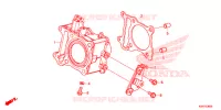CYLINDRE pour Honda SH 150 ABS D 4ED de 2020