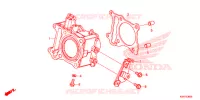 CYLINDRE pour Honda SH 125 ABS D 5ED de 2021