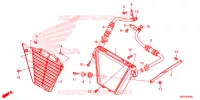 RADIATEUR D'HUILE pour Honda CBR 1000 RR de 2021