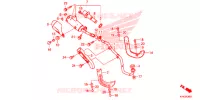 SILENCIEUX D'ECHAPPEMENT (CRF110FK/L) pour Honda CRF 110 de 2020