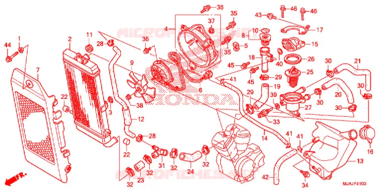 RADIATEUR Honda MOTO 750 SHADOW 2019  VT750CSK