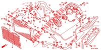 RADIATEUR pour Honda CB 600 F HORNET 34HP de 2011