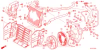 RADIATEUR pour Honda FOURTRAX 420 RANCHER 4X4 DCT EPS de 2021