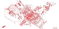 CULASSE (AVANT) pour Honda CROSSTOURER 1200 DCT RED de 2016