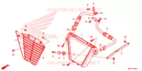 RADIATEUR D'HUILE pour Honda CBR 1000 RR SP BREMBO de 2021