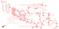 RADIATEUR D'HUILE pour Honda PIONEER 700 M2 DELUXE de 2021