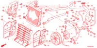 RADIATEUR pour Honda FOURTRAX 420 RANCHER 4X4 Manual Shift de 2021