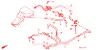 SOUPAPE D'ADMISSION pour Honda CBR 600 F3 de 1998