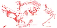 RADIATEUR pour Honda CBR 600 50HP de 1997