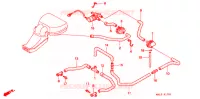 SOUPAPE D'ADMISSION pour Honda CBR 600 50HP de 1997