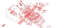CULASSE (AVANT) pour Honda VFR 1200 DCT de 2012