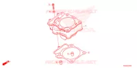 CYLINDRE pour Honda CRF 250 RX de 2022