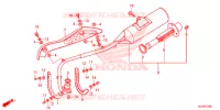 SILENCIEUX D'ECHAPPEMENT pour Honda CRF 50 de 2023