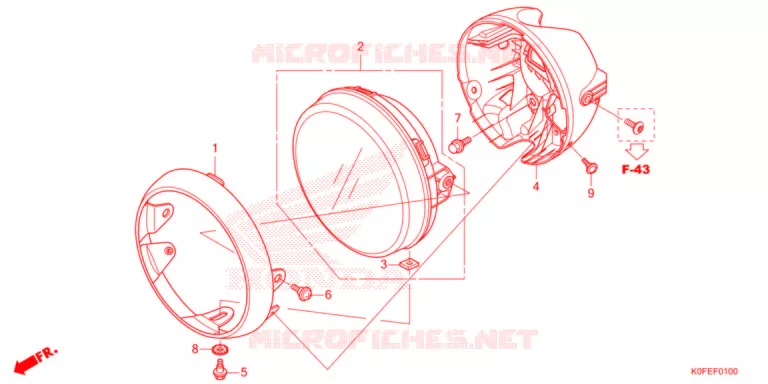 PHARE Honda MOTO 125 MONKEY 2022  Z125MAN