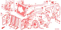 RADIATEUR pour Honda FOURTRAX 520 FOREMAN RUBICON 4X4 EPS CAMO de 2021