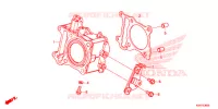 CYLINDRE pour Honda SH 150 ABS 4ED de 2022