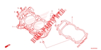 CYLINDRE pour Honda HORNET 750 R 35KW de 2023